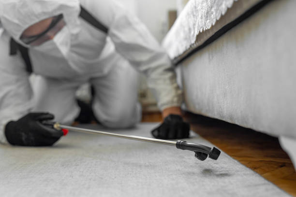 Professional Bed Bug Control technician working in Martindale, TX
